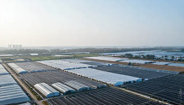数据平台建设中性能差异的影响因素分析